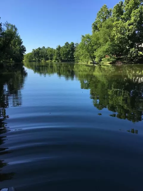 104 Lakeside Ct, Georgetown, KY 40324 photo 30