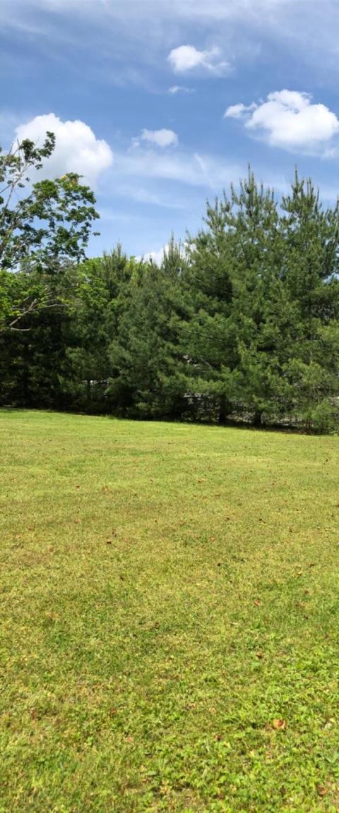 2347 Level Green Rd, Corbin, KY 40701 photo 8