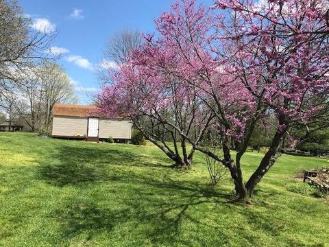 450 Craig Ln, Georgetown, KY 40324 photo 52