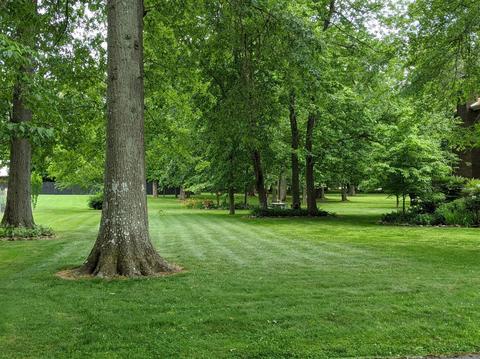 17 Diamond Ln, Corbin, KY 40701 photo 12