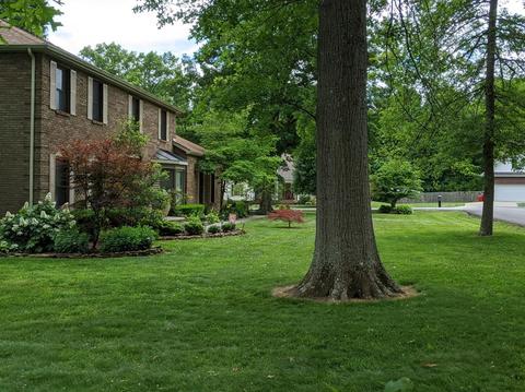 17 Diamond Ln, Corbin, KY 40701 photo 3