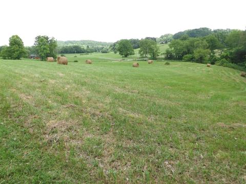 85 Harris Rd, Gray, KY 40734 photo 30