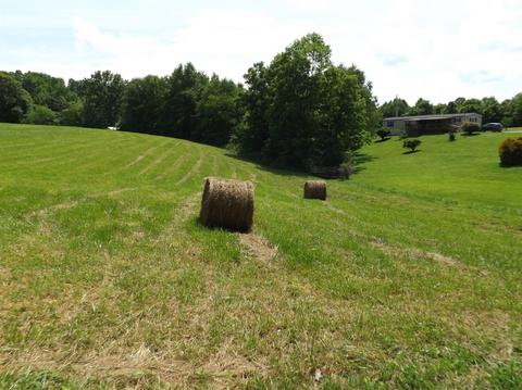 85 Harris Rd, Gray, KY 40734 photo 74