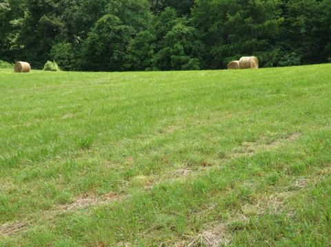 85 Harris Rd, Gray, KY 40734 photo 19