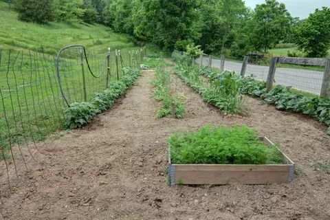 228 S Rays Fork Rd, Corinth, KY 41010 photo 50