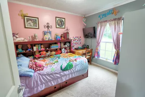 228 S Rays Fork Rd, Corinth, KY 41010 photo 30