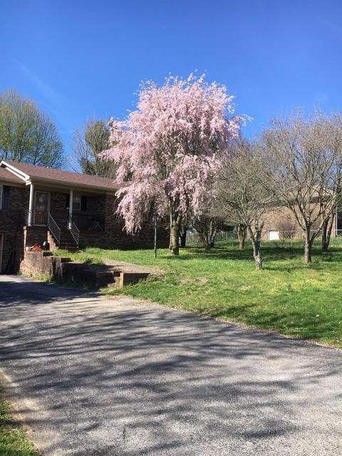 109 Ruston Rd, Lancaster, KY 40444 photo 1