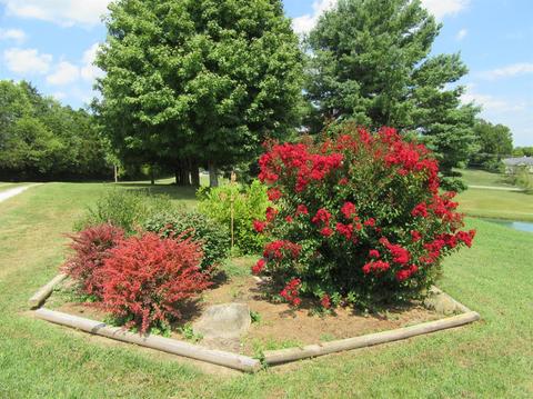 185 Waco Loop, Waco, KY 40385 photo 49