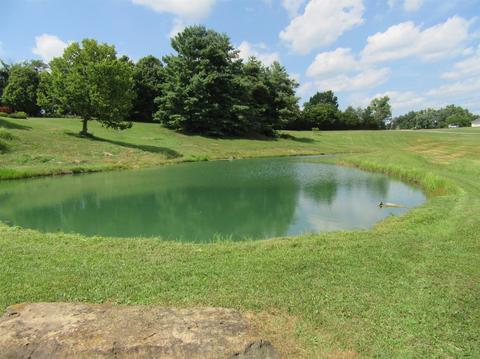 185 Waco Loop, Waco, KY 40385 photo 73