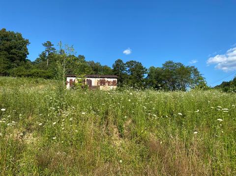 2905 Tidal Wave Rd, Corbin, KY 40701 photo 3