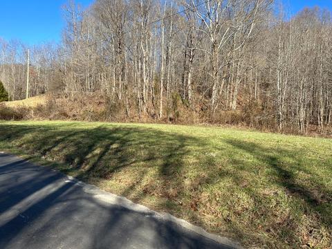 4 Blue Springs Rd, Vanceburg, KY 41179