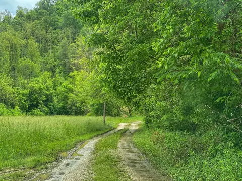 9501 Campton Rd, Slade, KY 40376 photo 13