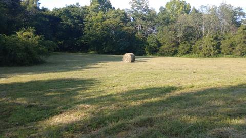 504 Day Rd, Berea, KY 40403 photo 11