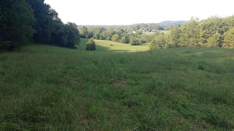 504 Day Rd, Berea, KY 40403 photo 15