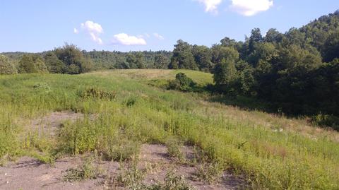 504 Day Rd, Berea, KY 40403 photo 27