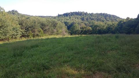 504 Day Rd, Berea, KY 40403 photo 14