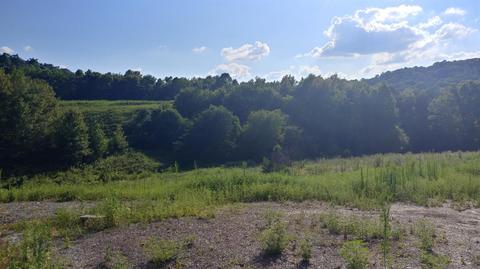 504 Day Rd, Berea, KY 40403 photo 24