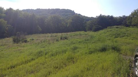 504 Day Rd, Berea, KY 40403 photo 25