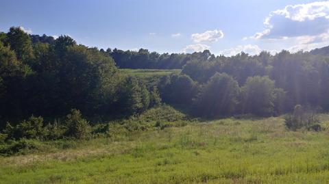 504 Day Rd, Berea, KY 40403 photo 26
