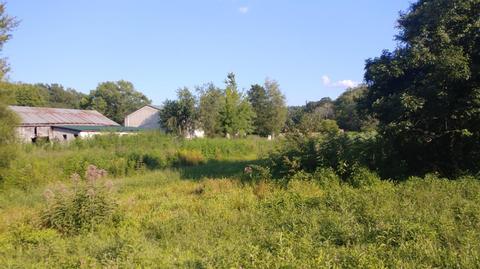 504 Day Rd, Berea, KY 40403 photo 9