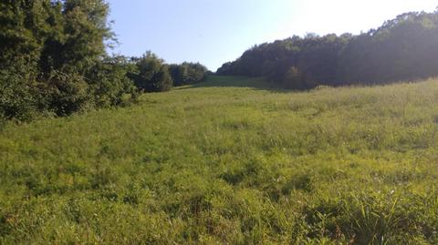 504 Day Rd, Berea, KY 40403 photo 10