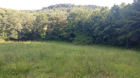 504 Day Rd, Berea, KY 40403 photo 17