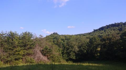 504 Day Rd, Berea, KY 40403 photo 16