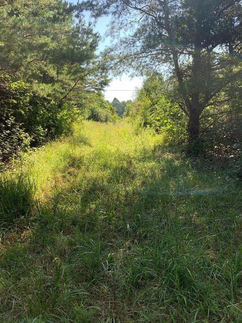 1390 Auger Springs Rd, Corbin, KY 40701