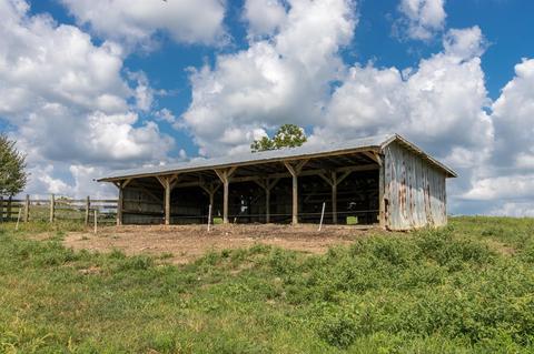 1335 Buckeye Rd, Lancaster, KY 40444 photo 38