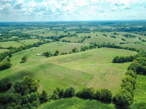 1335 Buckeye Rd, Lancaster, KY 40444 photo 13