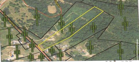 1653 Calico Rd, Berea, KY 40403 photo 4