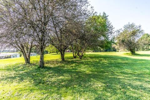 4792 Hwy 2003, Mckee, KY 40447 photo 4