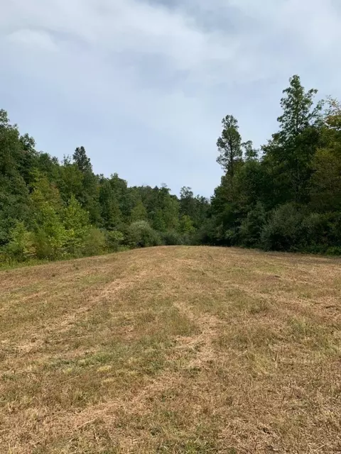 3164 Highway 650, West Liberty, KY 41472 photo 21