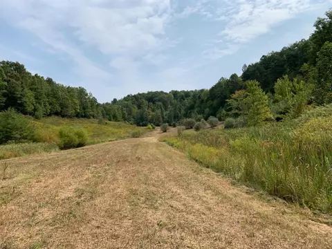 3164 Highway 650, West Liberty, KY 41472 photo 2