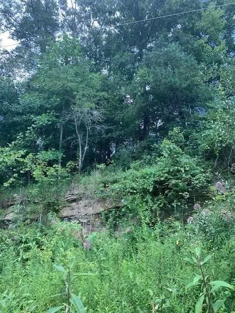 3164 Highway 650, West Liberty, KY 41472 photo 9