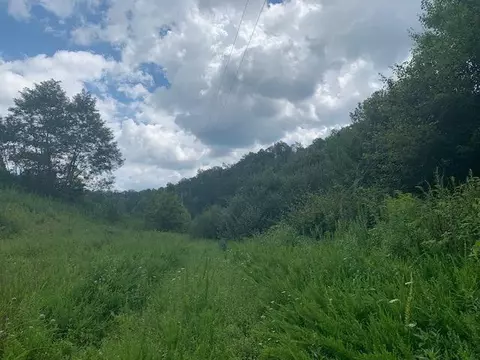 3164 Highway 650, West Liberty, KY 41472 photo 12