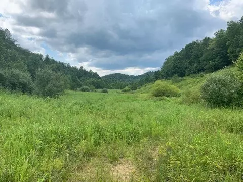 3164 Highway 650, West Liberty, KY 41472 photo 6