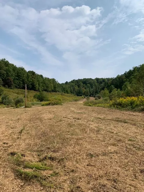 3164 Highway 650, West Liberty, KY 41472 photo 19