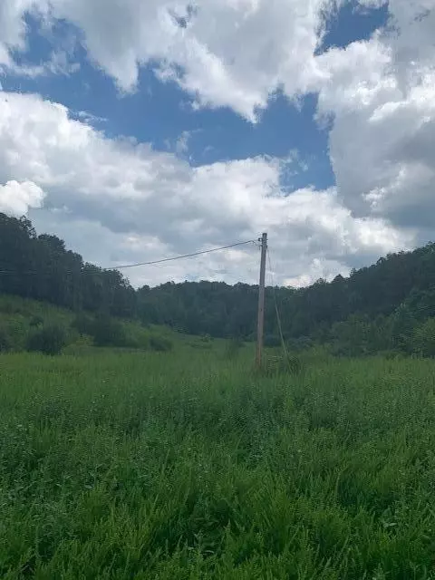 3164 Highway 650, West Liberty, KY 41472 photo 7