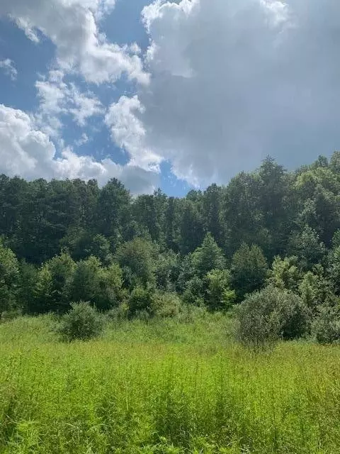 3164 Highway 650, West Liberty, KY 41472 photo 5