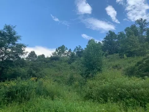 3164 Highway 650, West Liberty, KY 41472 photo 11