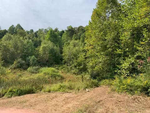 3164 Highway 650, West Liberty, KY 41472 photo 18