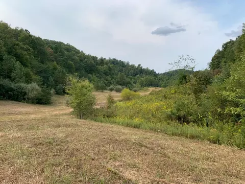 3164 Highway 650, West Liberty, KY 41472 photo 4