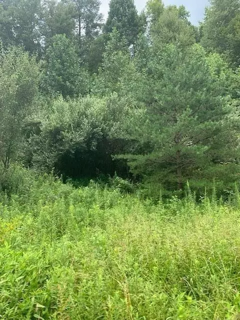 3164 Highway 650, West Liberty, KY 41472 photo 10