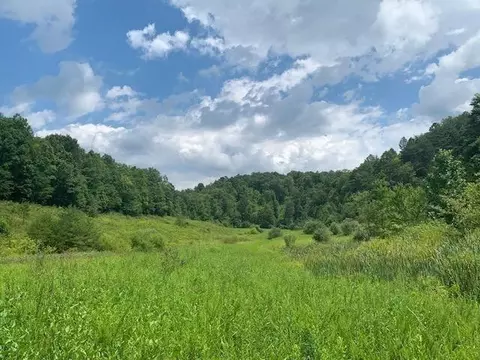 3164 Highway 650, West Liberty, KY 41472 photo 1