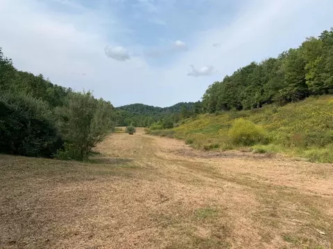 3164 Highway 650, West Liberty, KY 41472 photo 22