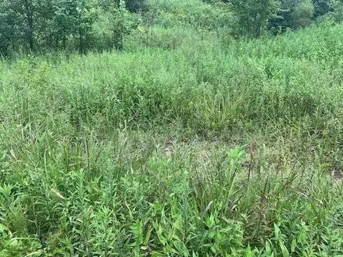3164 Highway 650, West Liberty, KY 41472 photo 14