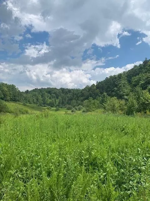 3164 Highway 650, West Liberty, KY 41472 photo 8