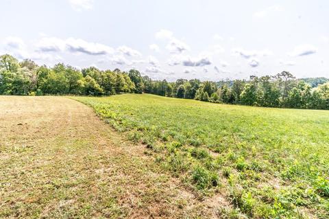 1924 Upper Dr Fork Rd, Mckee, KY 40447 photo 19