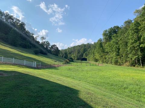1623 Stan Br, Grayson, KY 41143 photo 17